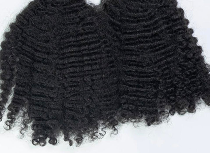 Raw Burmese Heritage Curl