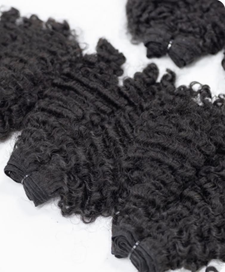 Raw Burmese Simple Elegant Curl