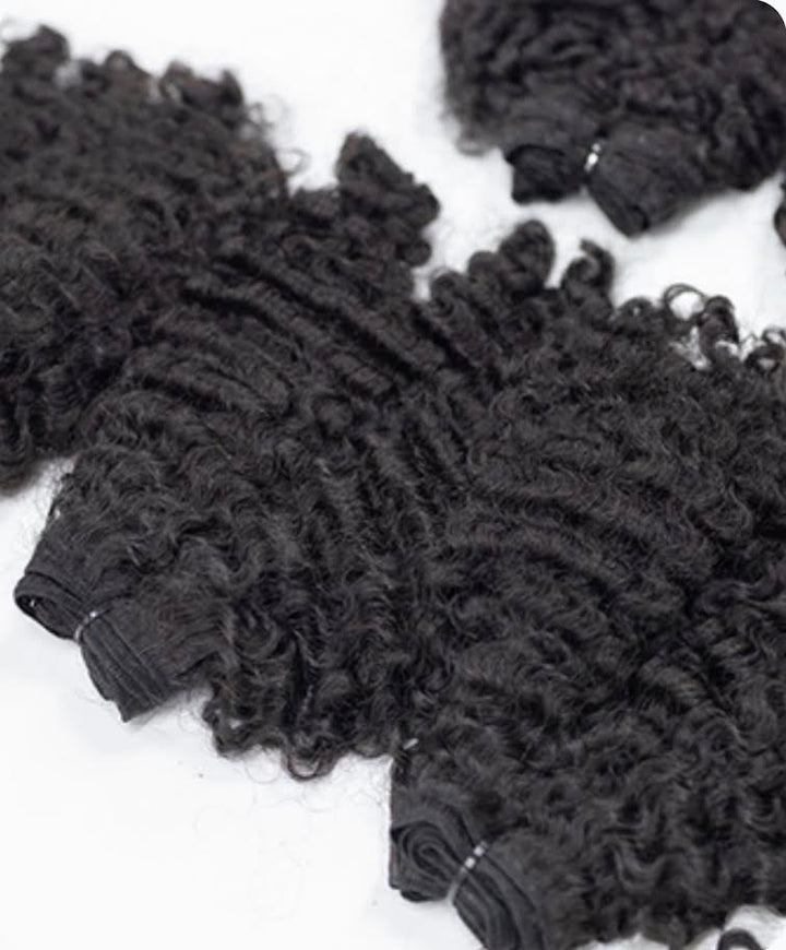 Raw Burmese Simple Elegant Curl