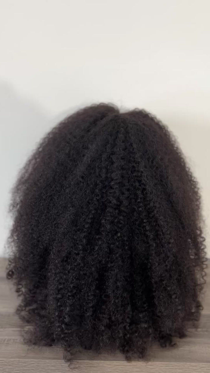 The Defined Coil Collection 13x6 Lace Wig